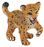 Leopard cub.jpg